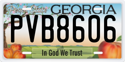 GA license plate PVB8606
