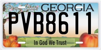 GA license plate PVB8611
