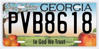 GA license plate PVB8618