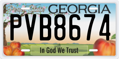 GA license plate PVB8674