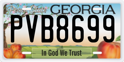 GA license plate PVB8699