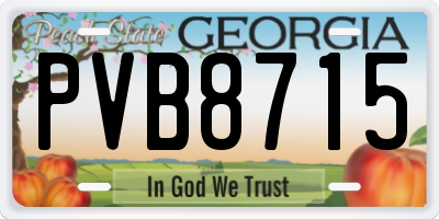 GA license plate PVB8715