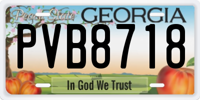 GA license plate PVB8718