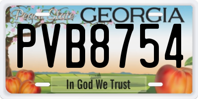 GA license plate PVB8754