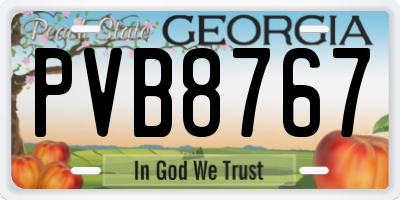 GA license plate PVB8767