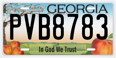 GA license plate PVB8783