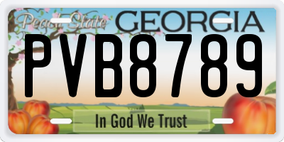 GA license plate PVB8789