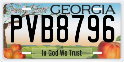 GA license plate PVB8796