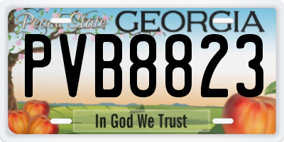 GA license plate PVB8823