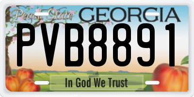 GA license plate PVB8891