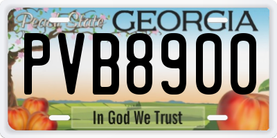 GA license plate PVB8900