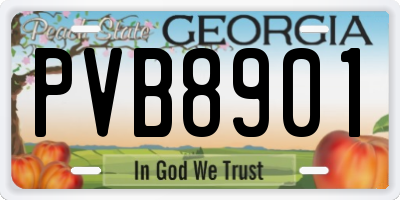 GA license plate PVB8901