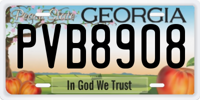GA license plate PVB8908