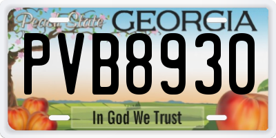GA license plate PVB8930