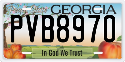 GA license plate PVB8970