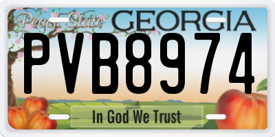 GA license plate PVB8974