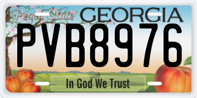GA license plate PVB8976