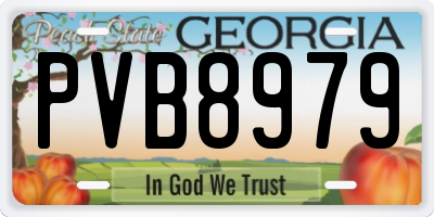 GA license plate PVB8979