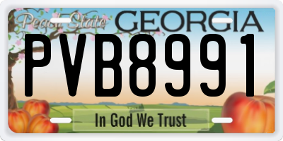 GA license plate PVB8991