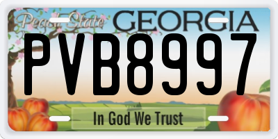 GA license plate PVB8997