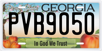 GA license plate PVB9050