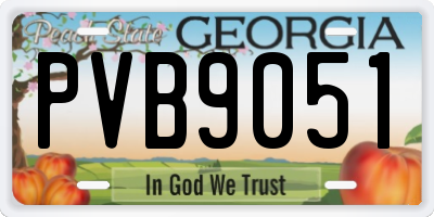 GA license plate PVB9051