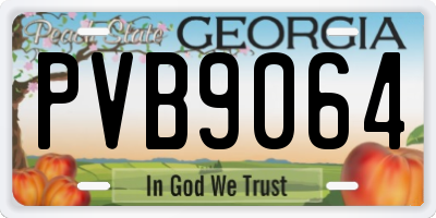 GA license plate PVB9064