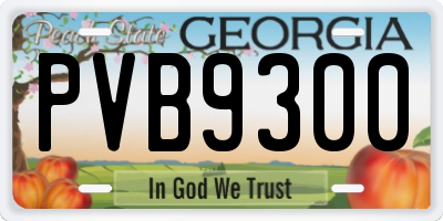 GA license plate PVB9300