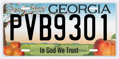 GA license plate PVB9301