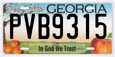 GA license plate PVB9315