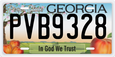 GA license plate PVB9328