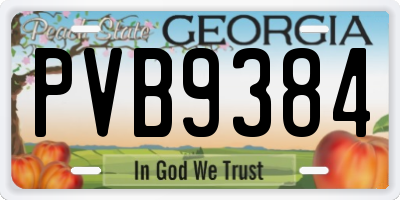 GA license plate PVB9384