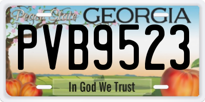 GA license plate PVB9523