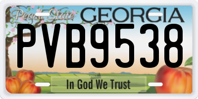 GA license plate PVB9538