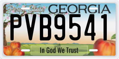 GA license plate PVB9541