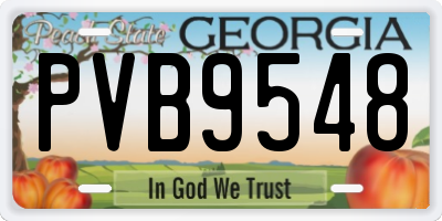 GA license plate PVB9548