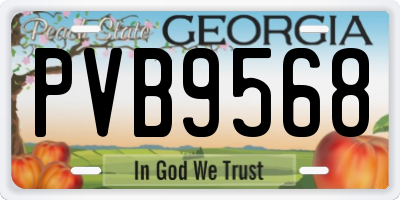 GA license plate PVB9568