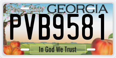 GA license plate PVB9581