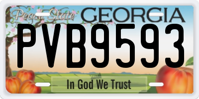 GA license plate PVB9593