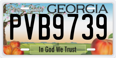 GA license plate PVB9739