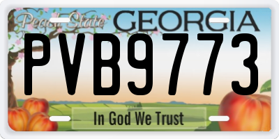 GA license plate PVB9773