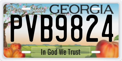 GA license plate PVB9824