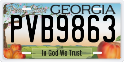 GA license plate PVB9863