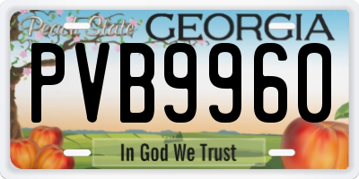 GA license plate PVB9960