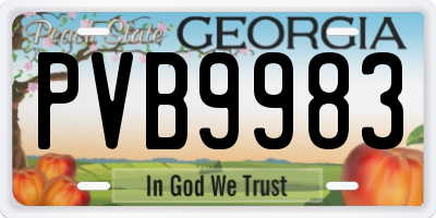 GA license plate PVB9983