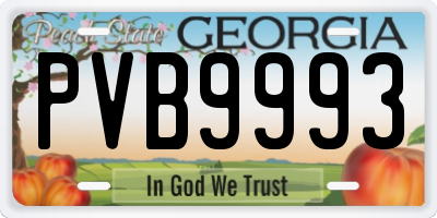 GA license plate PVB9993