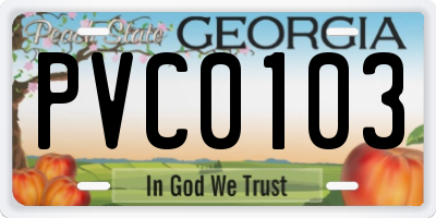 GA license plate PVC0103