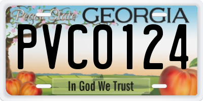 GA license plate PVC0124