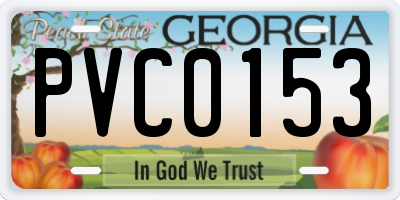GA license plate PVC0153