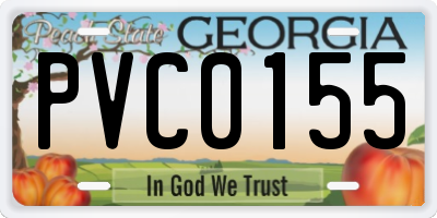 GA license plate PVC0155